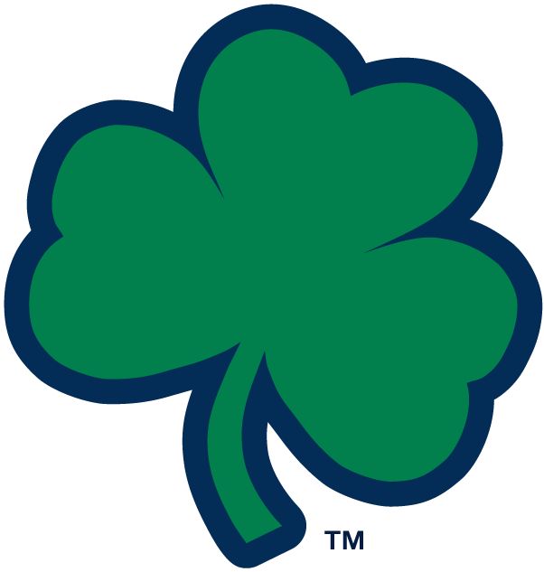 Notre Dame Fighting Irish 1994-Pres Alternate Logo v6 DIY iron on transfer (heat transfer)